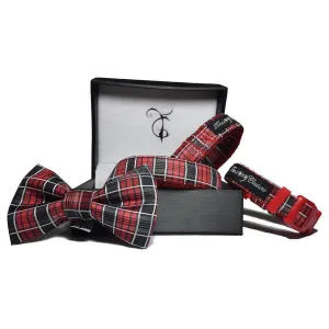 Blake Bow Tie, Dog Collar And Leash Set 8-11"