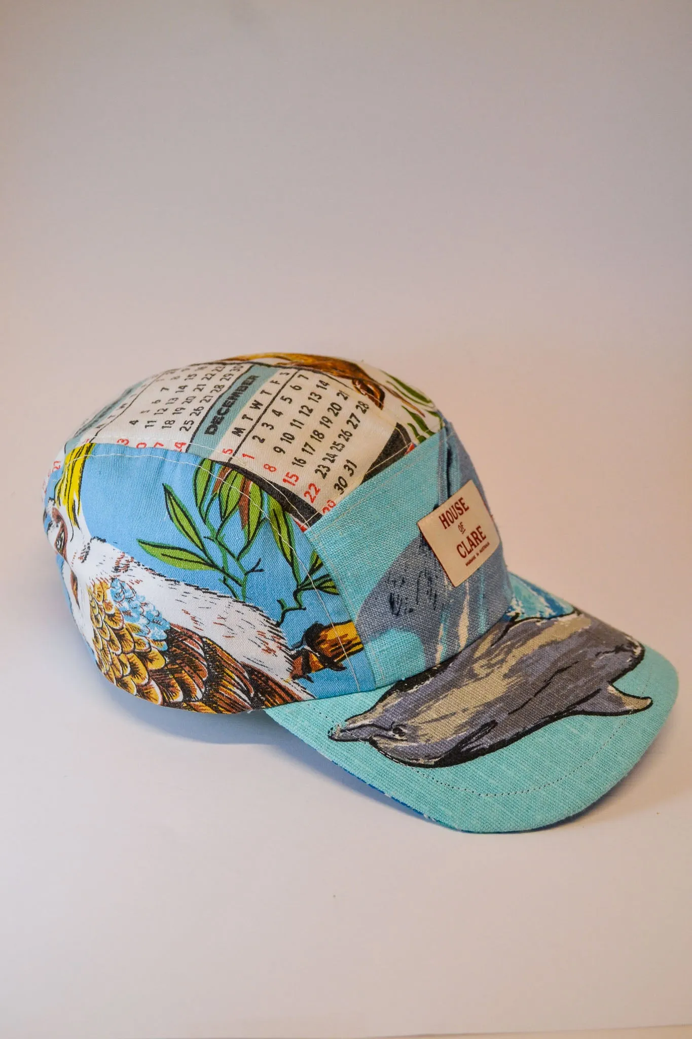 Cap | Dolphin | Five Panel