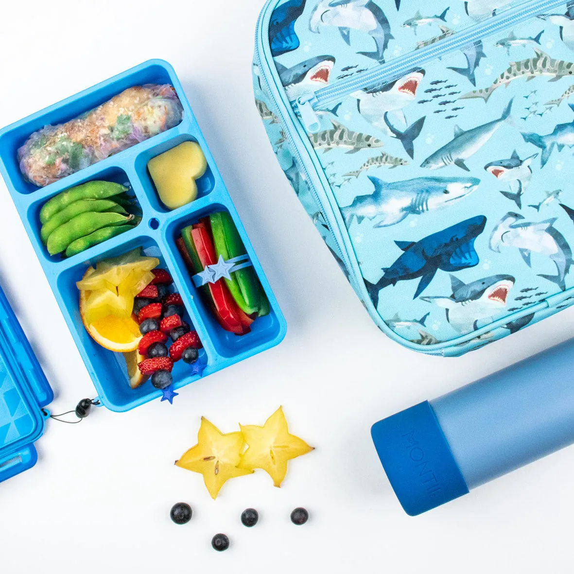 Go Green Lunch Box Bundle - Small