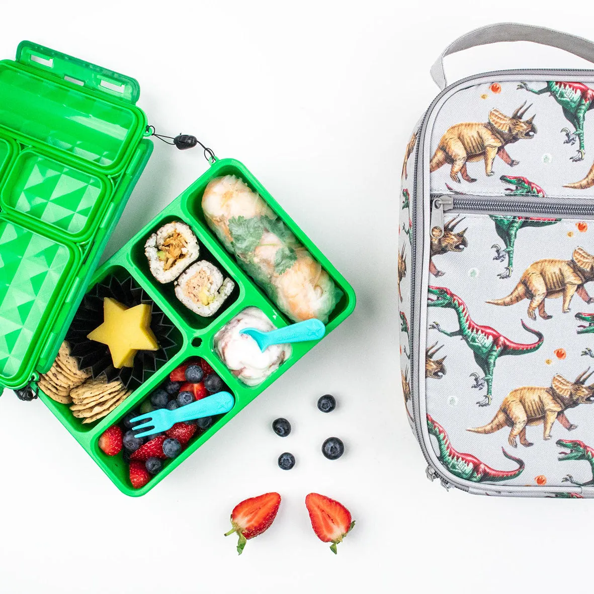 Go Green Lunch Box Bundle - Small