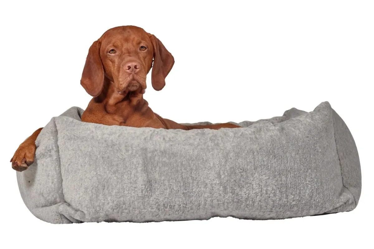 Lounger - The Franklin Cloud - Dog Bed