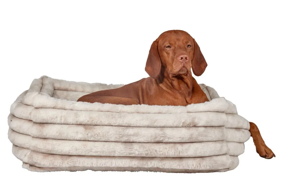 Lounger - The Franklin Himalayan - Dog Bed