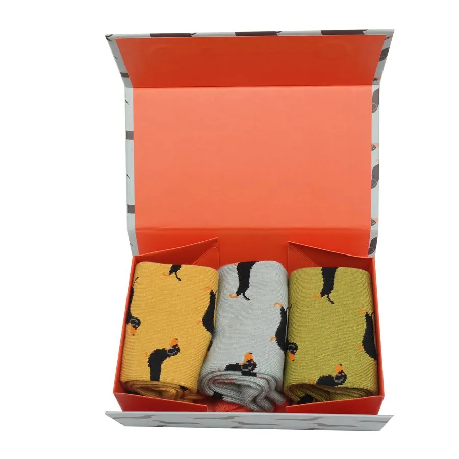 Miss Sparrow Little Sausage Dogs Socks 3 Pack