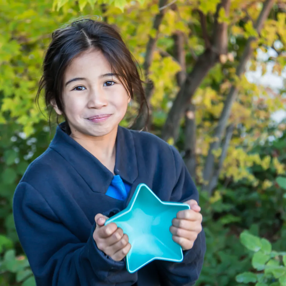 Star Bowl Set (Multi-Color) - 5 pieces